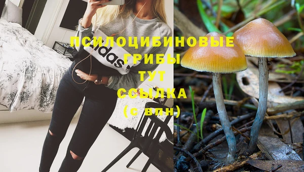 СК Алзамай