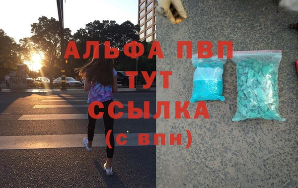 СК Алзамай