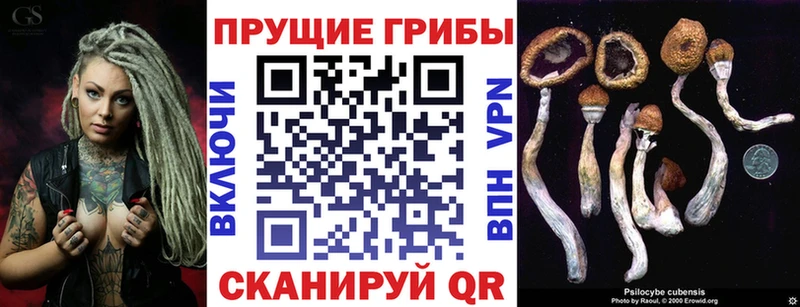 Галлюциногенные грибы мицелий Тюмень