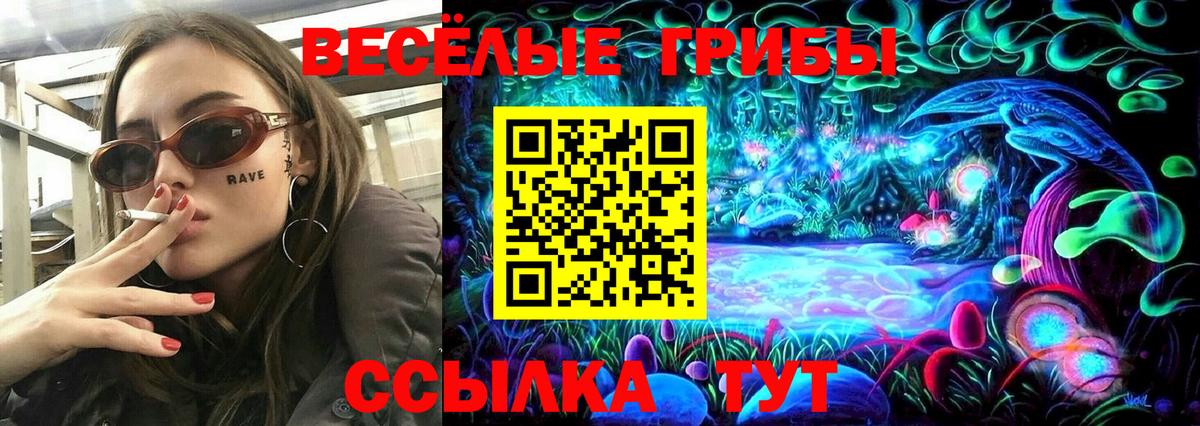 Псилоцибиновые грибы Psilocybe  Вход с VPN  Тюмень 